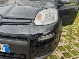 
										FIAT Panda 1.0cc Hybrid 70cv MY23 full									