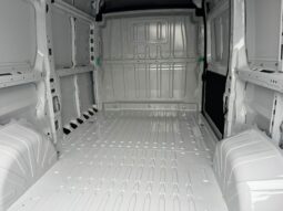 
										FIAT Ducato 33 L2h2 2.2cc Diesel 140cv Furgone Lastrato full									