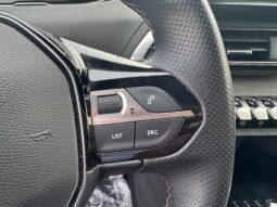 
										PEUGEOT 3008 1.2cc PureTech 130cv S&S GT full									