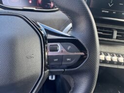 
										PEUGEOT 3008 1.2cc PureTech 130cv S&S GT full									