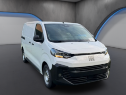 
										FIAT Scudo Serie 3 1.5cc Diesel 120cv Van M full									