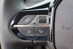 
										Peugeot 208 1.2cc 100cv S&S 5 Porte Allure Pack full									