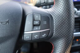 
										FORD PUMA 1.0cc HYBRID 125cv ST LINE full									
