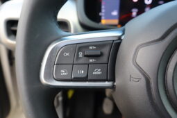 
										JEEP Avenger 1.2cc Benzina 100cv SUMMIT full									