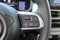 
										JEEP Avenger 1.2cc Benzina 100cv SUMMIT full									