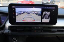 
										JEEP Avenger 1.2cc Benzina 100cv SUMMIT full									