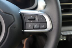 
										JEEP Avenger 1.2cc Benzina 100cv SUMMIT full									