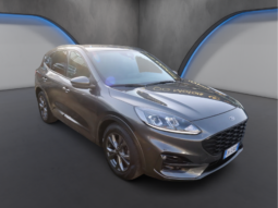 
										FORD KUGA 2.0 EcoBlue 120cv Aut. 2WD ST-Line full									