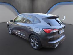 
										FORD KUGA 2.0 EcoBlue 120cv Aut. 2WD ST-Line full									