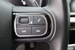 
										Citroen C5 Aircross 1.5cc bluehdi s&s 130cv eat8 Feel Pack full									