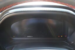 
										FORD PUMA 1.0cc HYBRID 125cv ST LINE full									