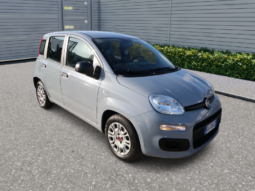 
										FIAT Panda 1.0cc Firefly 70cv s&s Hybrid 5 Posti full									