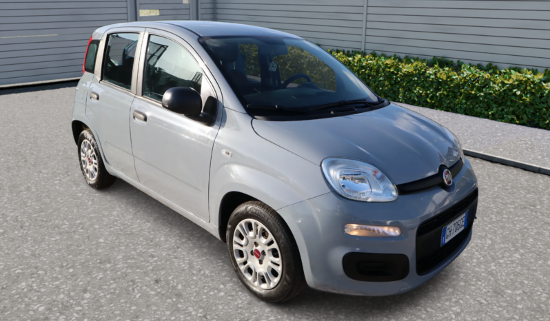 
								FIAT Panda 1.0cc Firefly 70cv s&s Hybrid 5 Posti full									
