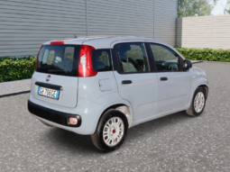 
										FIAT Panda 1.0cc Firefly 70cv s&s Hybrid 5 Posti full									