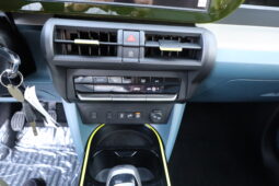 
										FIAT GRANDE PANDA 1.2cc 100cv ICON + Pack TECK full									