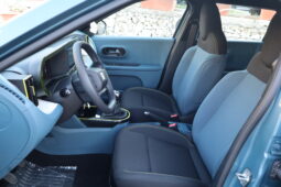 
										FIAT GRANDE PANDA 1.2cc 100cv ICON + Pack TECK full									