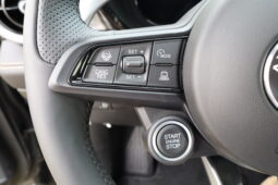 
										Alfa Romeo Tonale 1.6cc Diesel 130cv Veloce full									