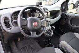
										FIAT Panda 1.0cc Firefly 70cv s&s Hybrid 5 Posti full									