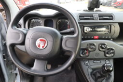 
										FIAT Panda 1.0cc Firefly 70cv s&s Hybrid 5 Posti full									