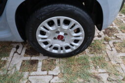 
										FIAT Panda 1.0cc Firefly 70cv s&s Hybrid 5 Posti full									