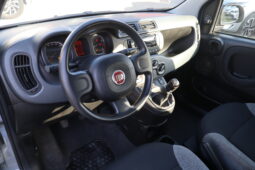 
										FIAT Panda 1.0cc Firefly 70cv s&s Hybrid 5 Posti full									