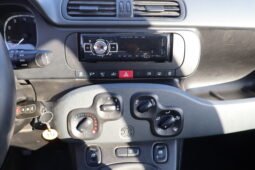 
										FIAT Panda 1.0cc Firefly 70cv s&s Hybrid 5 Posti full									