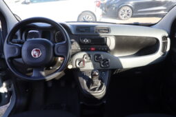 
										FIAT Panda 1.0cc Firefly 70cv s&s Hybrid 5 Posti full									