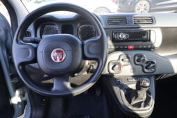 
										FIAT Panda 1.0cc Firefly 70cv s&s Hybrid 5 Posti full									