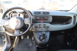 
										FIAT Panda 1.0cc Firefly 70cv s&s Hybrid full									