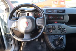 
										FIAT Panda 1.0cc Firefly 70cv s&s Hybrid full									