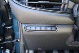 
										FIAT NUOVA 500 1.0cc 65cv Hybrid ICON + Pack Comfort full									