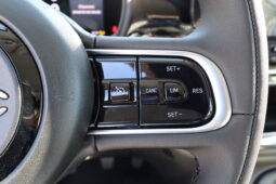 
										FIAT NUOVA 500 1.0cc 65cv Hybrid ICON + Pack Comfort full									