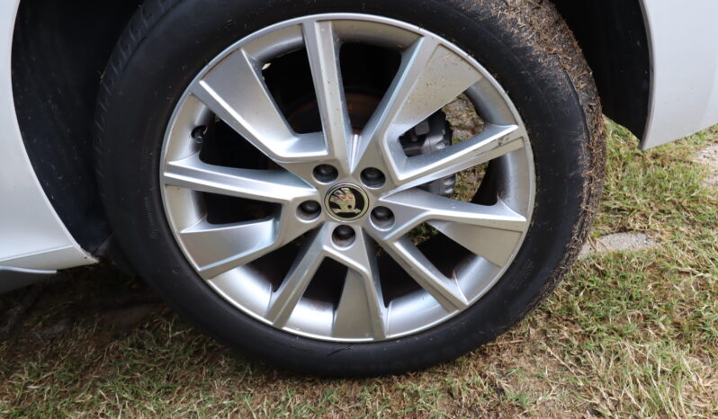 
								SKODA Kamiq 1.5cc TSI 150cv DSG Autom. Style full									