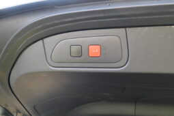
										DS DS7 1.5cc BlueHDi 130cv Auto. PERFORMANCE LINE + full									