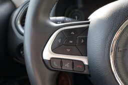 
										JEEP Renegade MY22 1.3 Turbo T4 190cv PHEV 4XE AT6 LIMITED full									