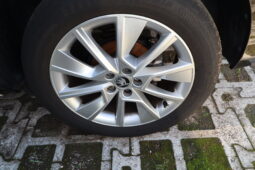 
										SKODA Kamiq 1.5cc TSI 150cv DSG Autom. Style full									