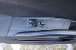 
										SKODA FABIA 1.0CC TSI 80CV SELECTION full									