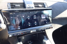 
										DS DS7 1.5cc BlueHDi 130cv Auto. PERFORMANCE LINE + full									