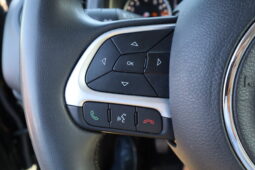 
										JEEP RENEGADE 1.0cc TURBO I3 120cv 4X2 LONGITUDE full									