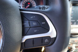 
										JEEP RENEGADE 1.0cc TURBO I3 120cv 4X2 LONGITUDE full									