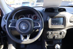 
										JEEP RENEGADE 1.0cc TURBO I3 120cv 4X2 LONGITUDE full									