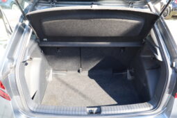 
										SKODA FABIA 1.0CC TSI 80CV SELECTION full									