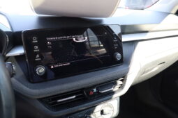 
										SKODA FABIA 1.0CC TSI 95CV SELECTION full									