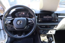 
										SKODA FABIA 1.0CC TSI 95CV SELECTION full									