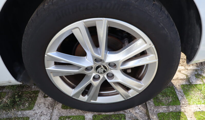 
								SKODA FABIA 1.0CC TSI 95CV SELECTION full									