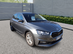 
										SKODA FABIA 1.0CC TSI 80CV SELECTION full									