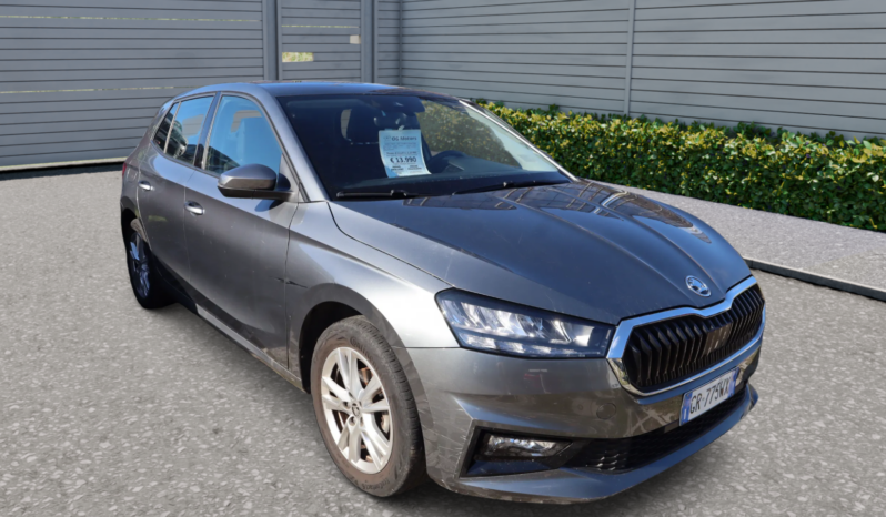 
								SKODA FABIA 1.0CC TSI 80CV SELECTION full									