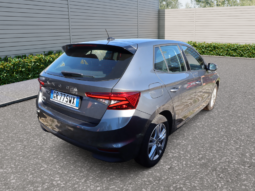 
										SKODA FABIA 1.0CC TSI 80CV SELECTION full									