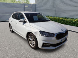 
										SKODA FABIA 1.0CC TSI 95CV SELECTION full									