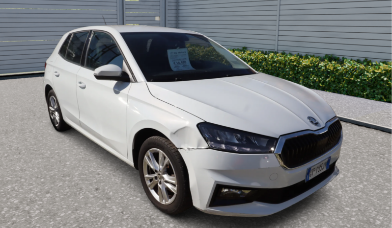 
								SKODA FABIA 1.0CC TSI 95CV SELECTION full									